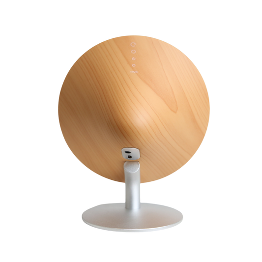 Dansoon Mini Bluetooth Speaker