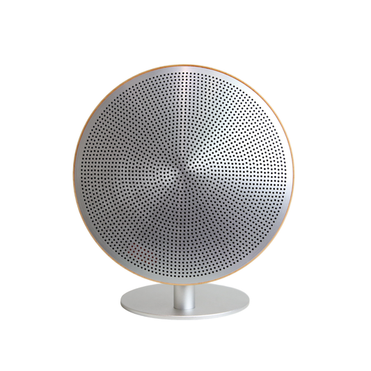 Dansoon Mini Bluetooth Speaker